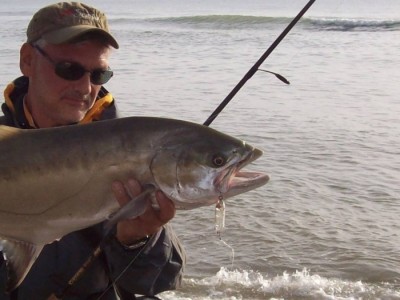 amia.JPG (232.68 KiB) Osservato 10797 volte amia.JPG