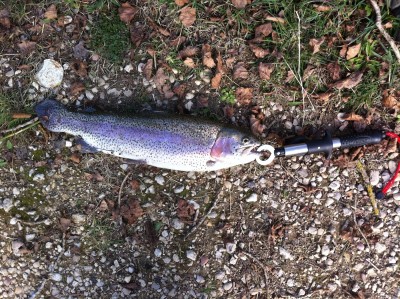 pesca trota iridea spinning.jpg (916.86 KiB) Osservato 2962 volte pesca trota iridea spinning.jpg