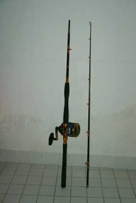 SAM_2074.JPG (57.75 KiB) Osservato 6908 volte SAM_2074.JPG