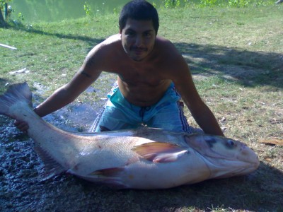 ABCD0002.JPG (391.64 KiB) Osservato 52126 volte ABCD0002.JPG