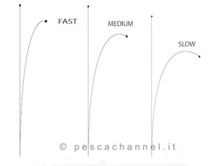 azioni canne copia (1)