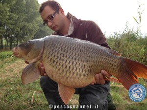 carpa regina sul fiume po (2)