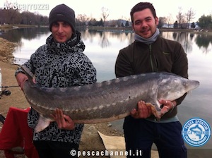 storione pesca scarrozza 2