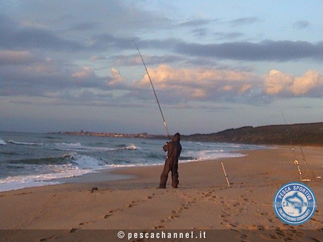 surfcasting (2)