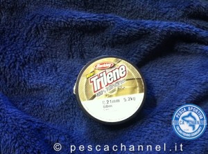 terminale fluorocarbon berkley trilene (1)