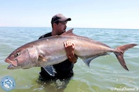 ricciola kayak record calabria gianluca zammuto 3