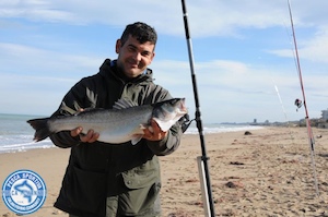 beach ledgering spigola