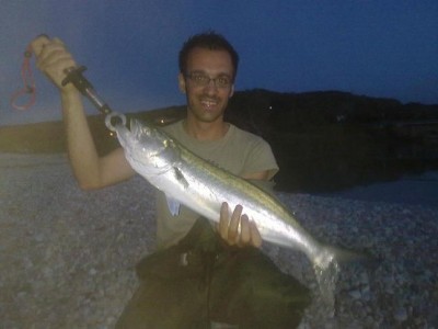 serrafabio.jpg (27.61 KiB) Osservato 4602 volte serrafabio.jpg